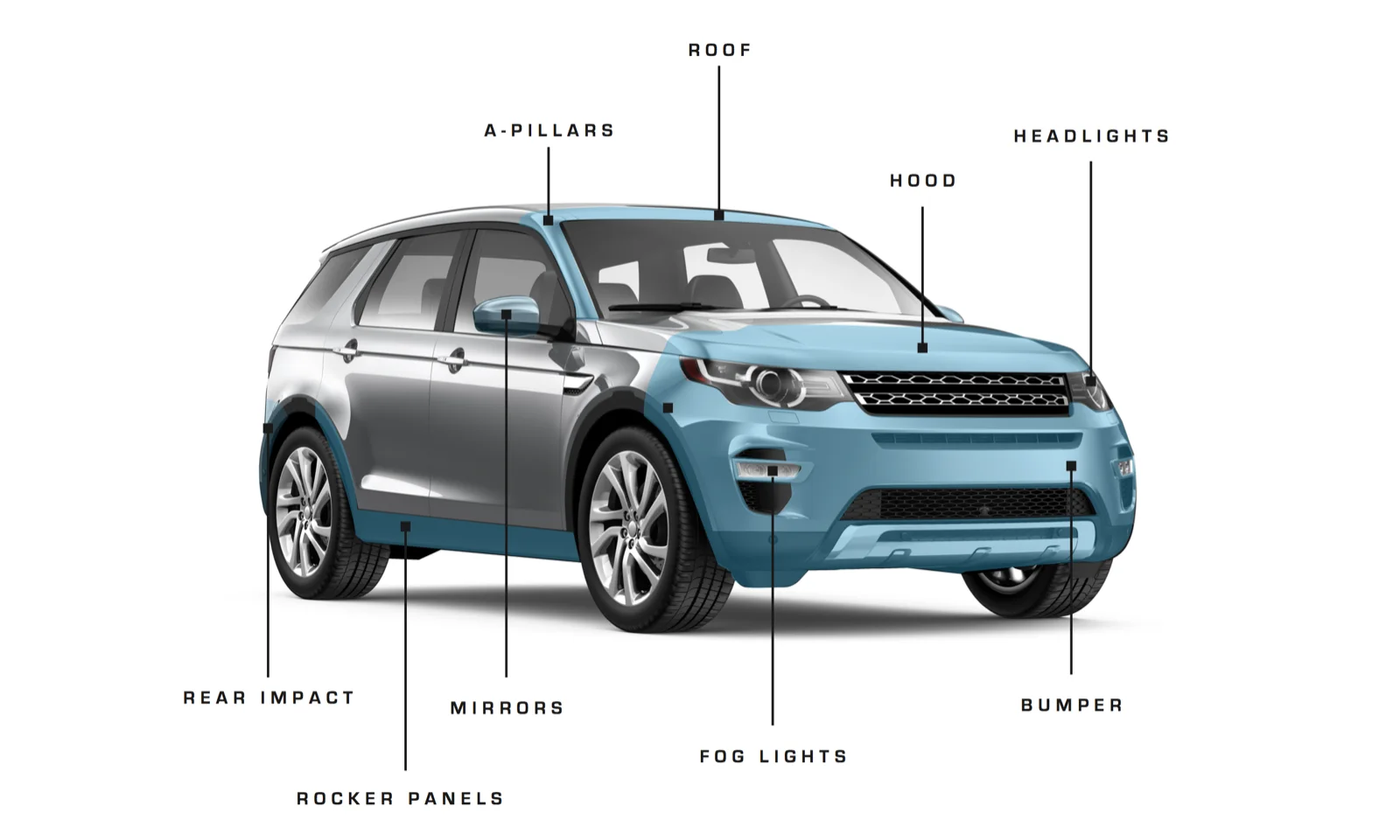 Paint protection film PPF graphic